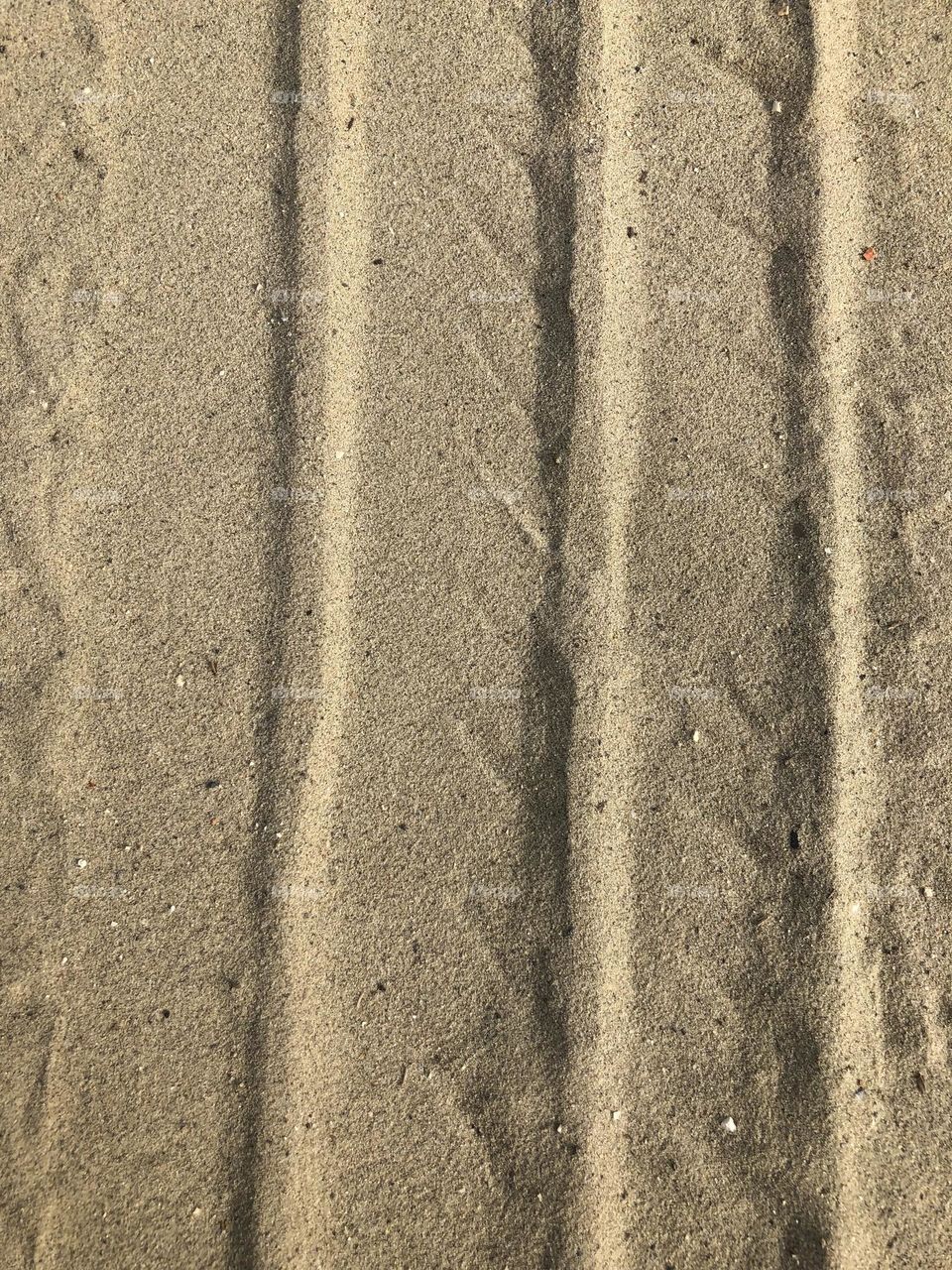 Tires track on the sand