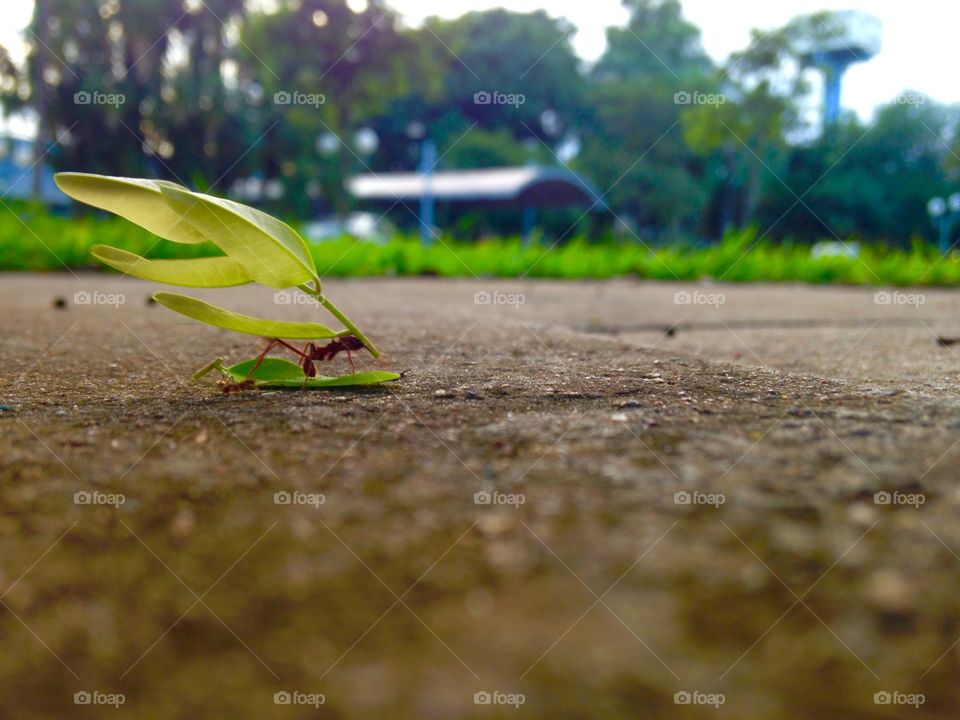 Spring is coming!! Time to work!