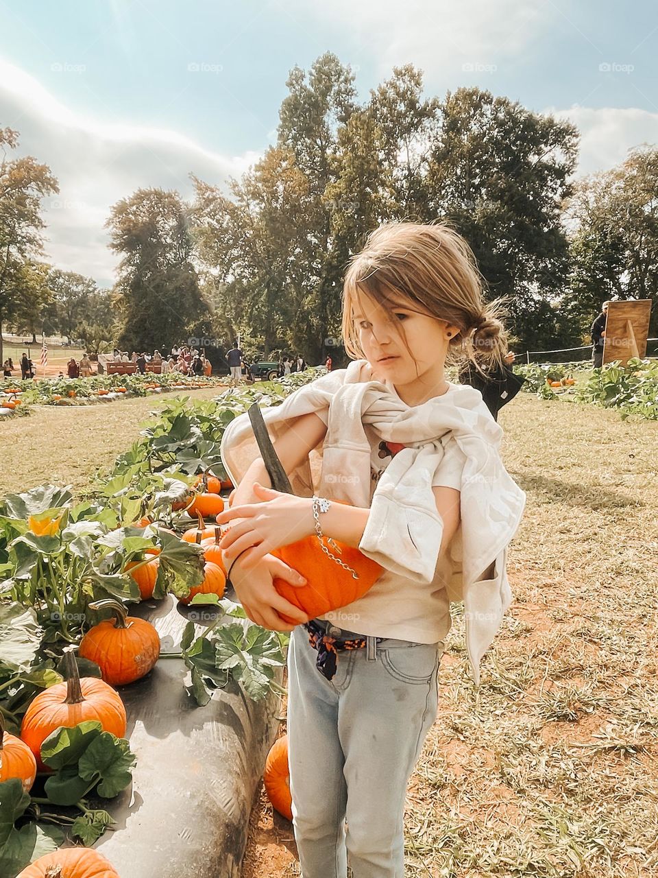 Pumpkin picking 