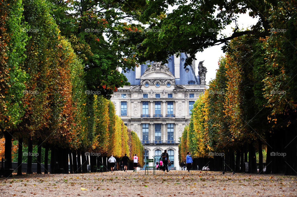 Fall in Paris 