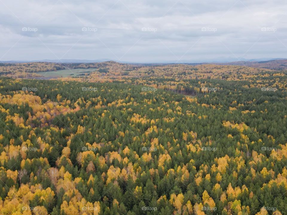 Осень на Урале 🍂