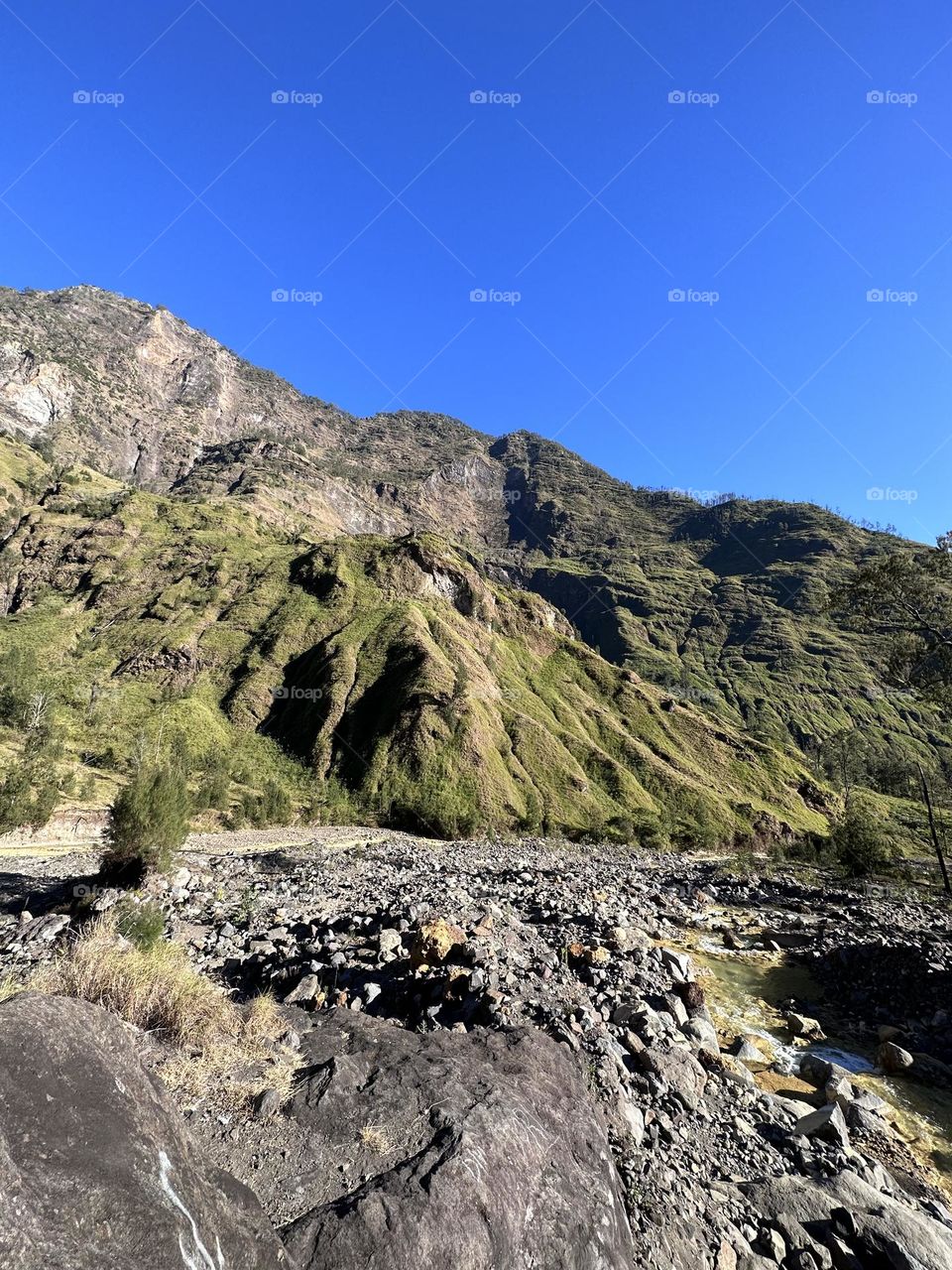 Rinjani 