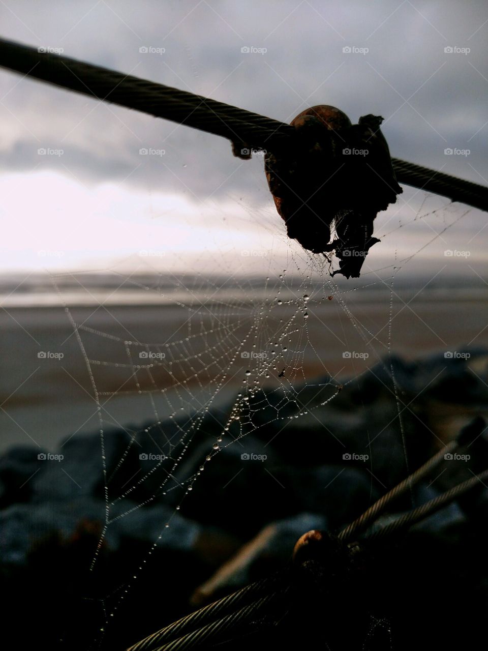 Web between the Cables