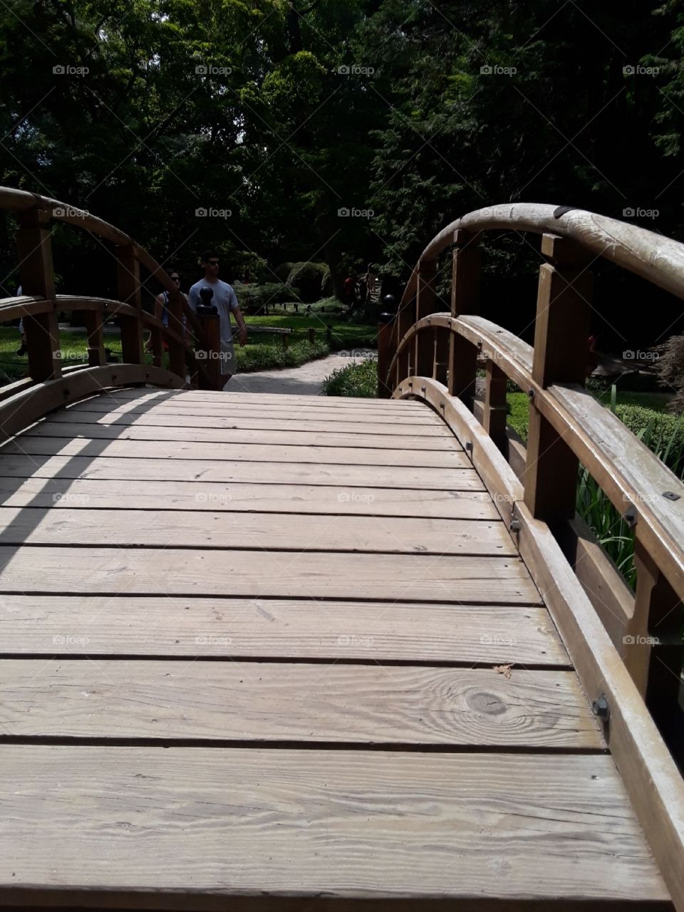 Wooden bridge created to overlook and walk across a small stream/pond water.