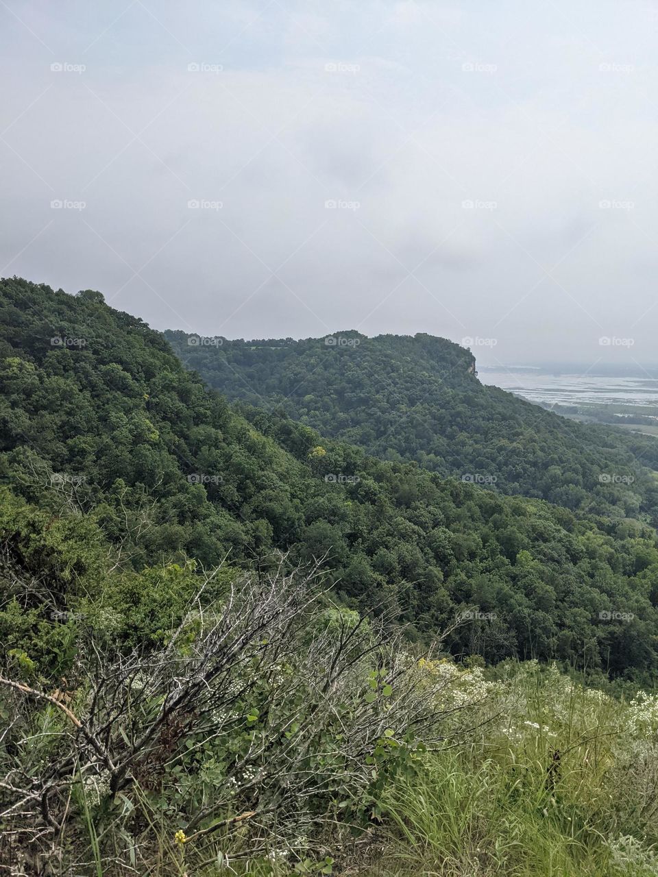 On the bluffs