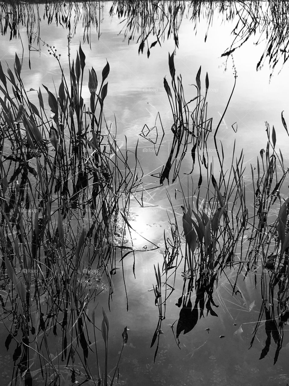 Reflection of direction in black and white 