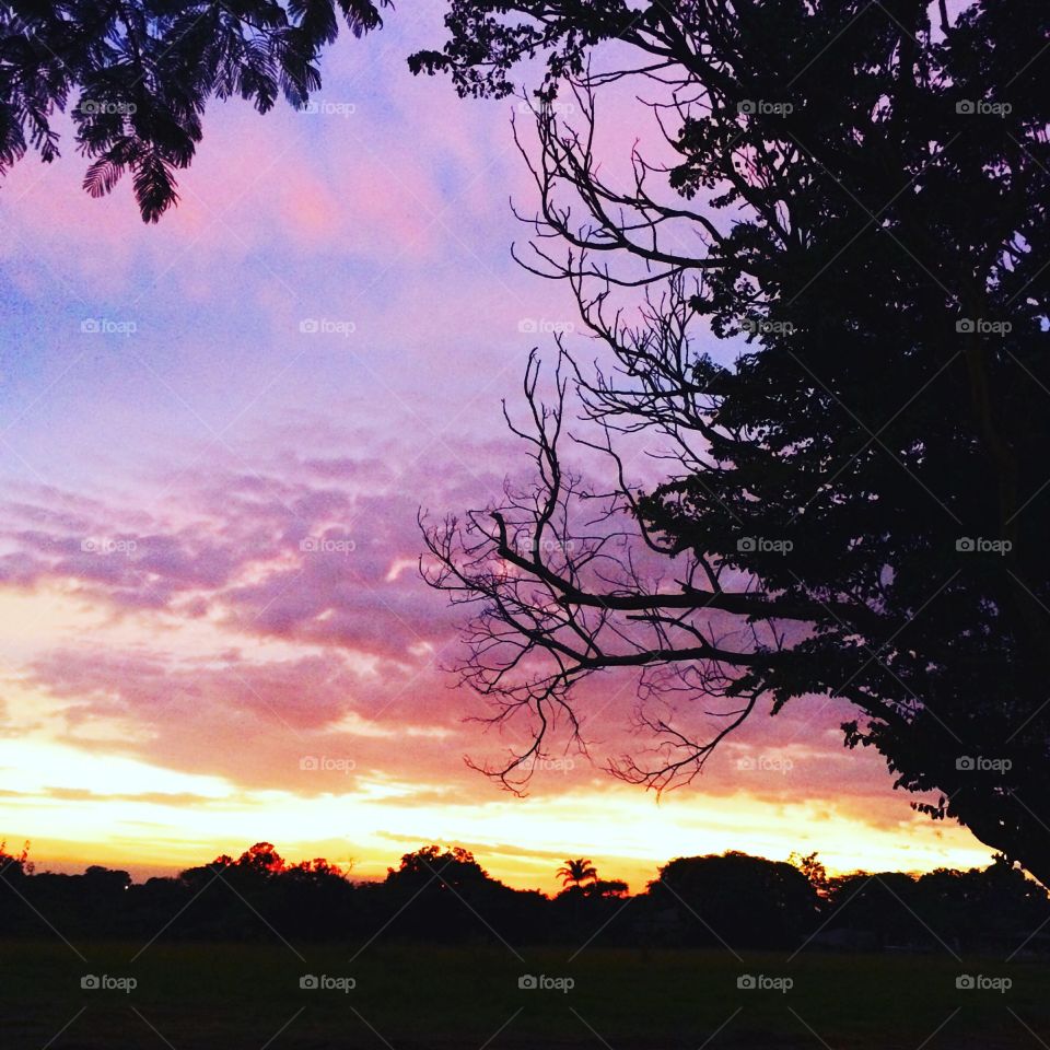 O 🌅Despertai com suas #cores, ó Terra Querida #Jundiaí!
Essa #natureza caipira é incrível, não?
🍃
#sol #sun #sky #céu #photo #nature #morning #alvorada #horizonte #fotografia #paisagem #inspiração #amanhecer #mobgraphy #mobgrafia #FotografeiEmJundiaí