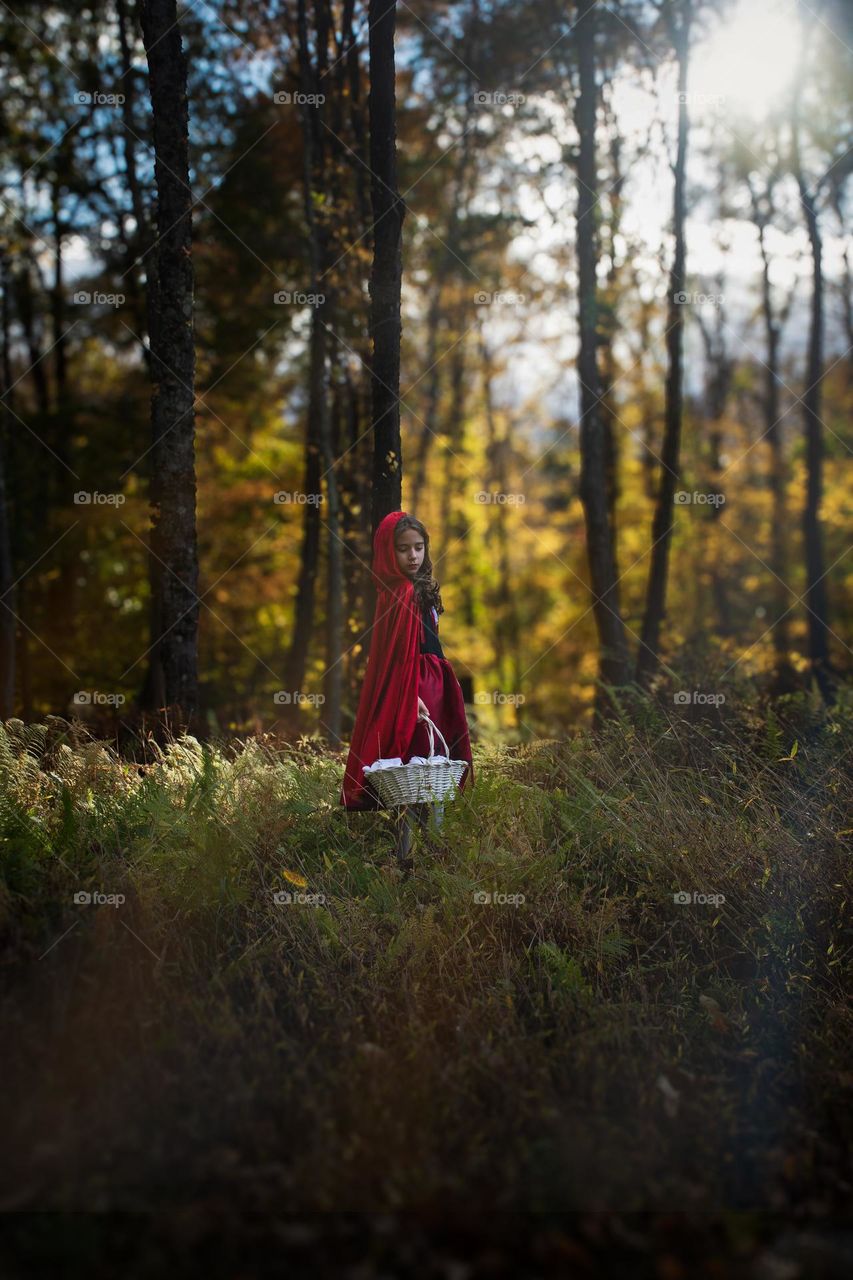 Little Red Riding Hood