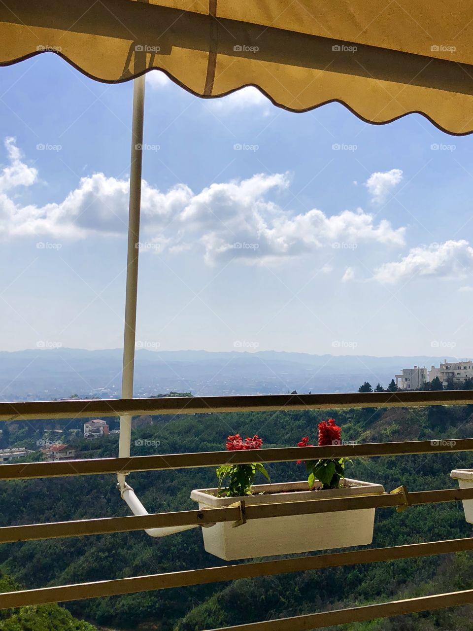 View from balcony flowers city blue sky 