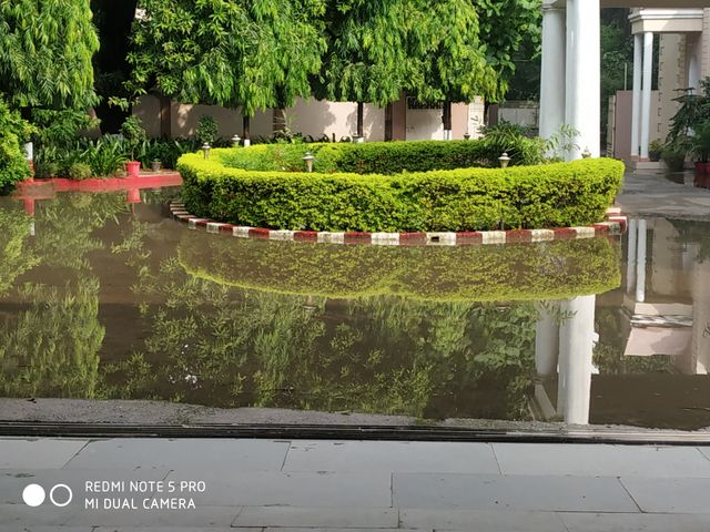 rainwater