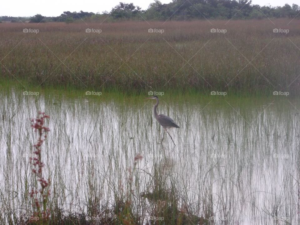 Travel in Florida 