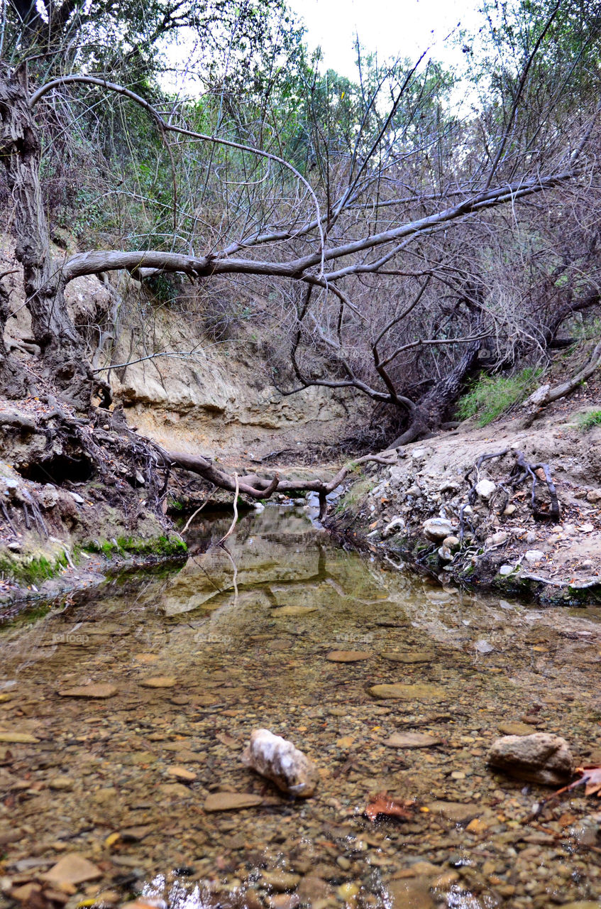 Water creeks 