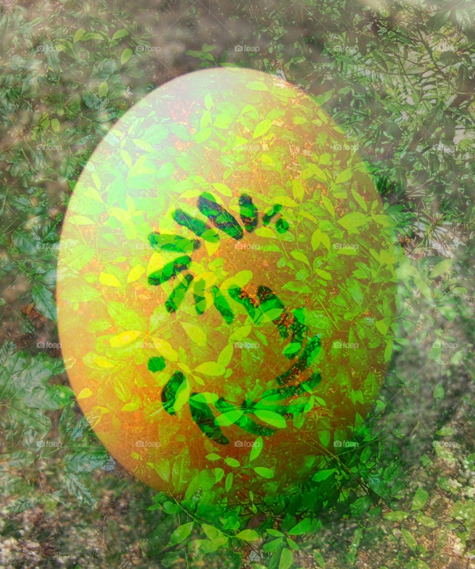 psychedelic safer egg