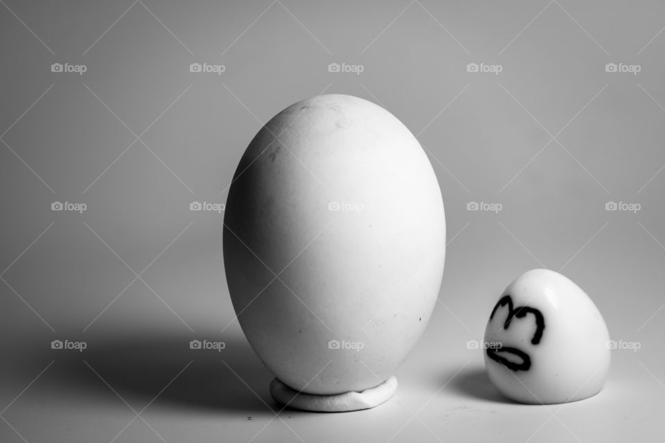 Shadow of big and small egg