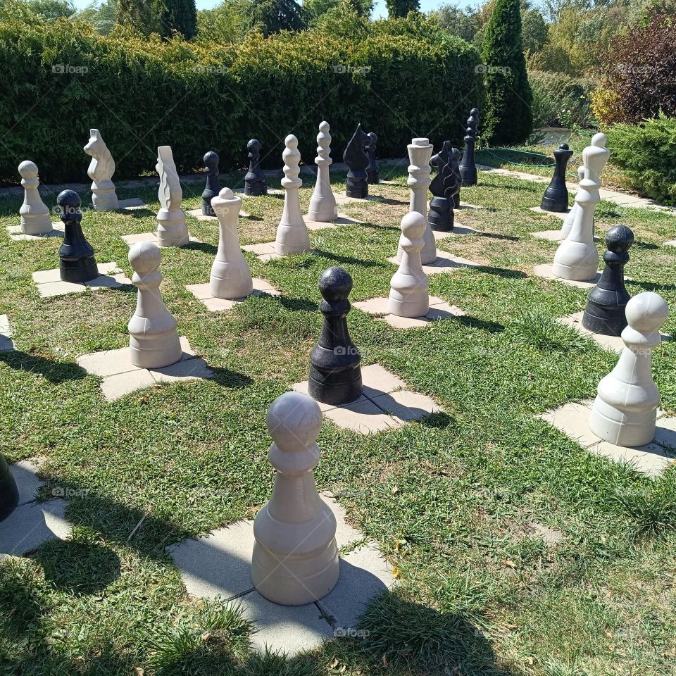 Chess pieces on the lawn
