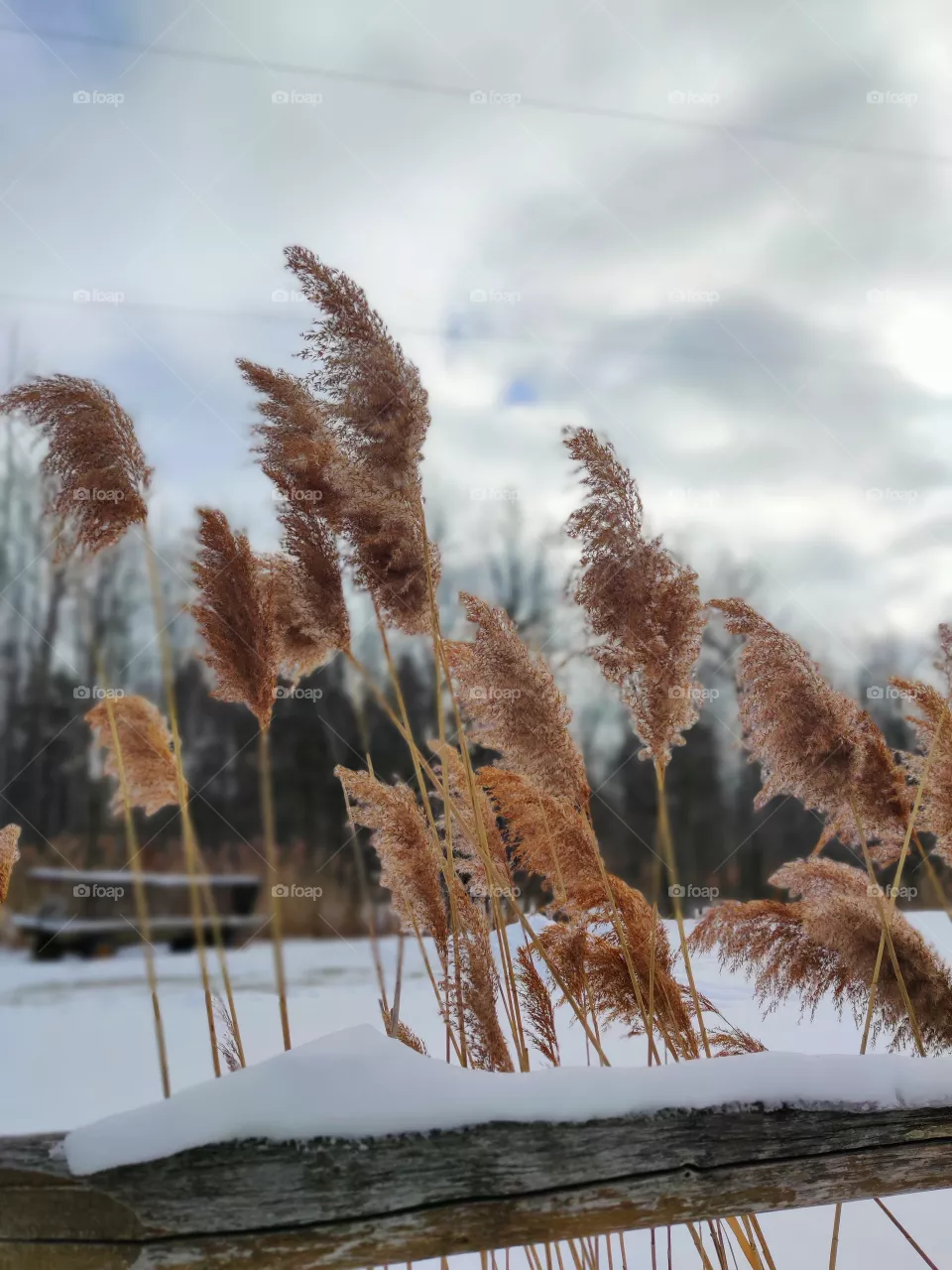 Winter mood.