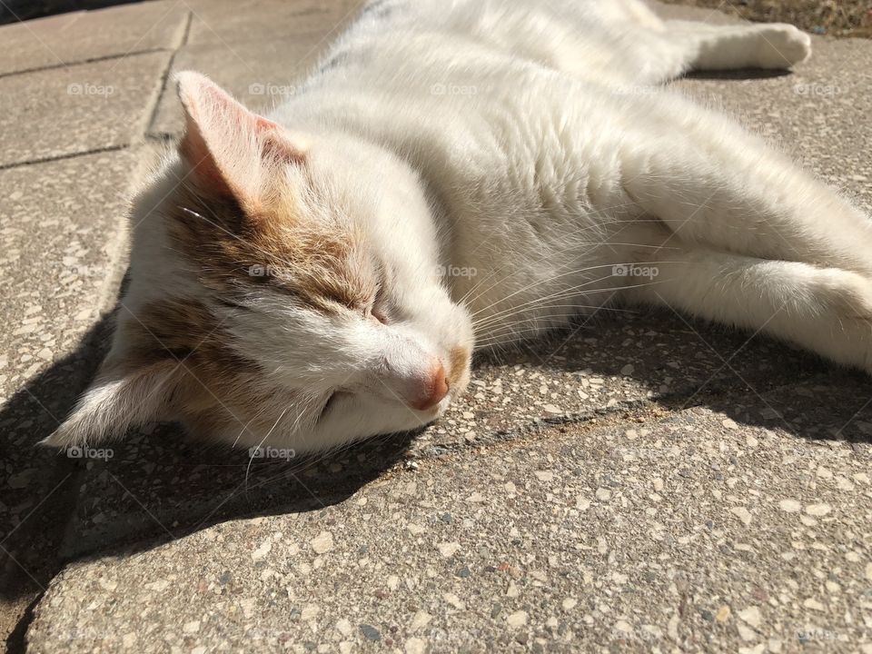 Relaxing in the sun