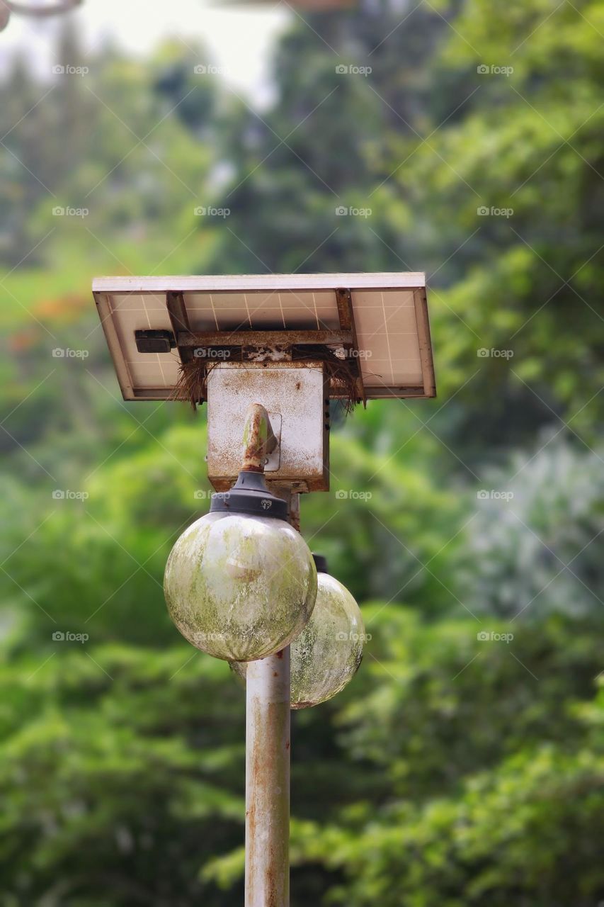 Solar light