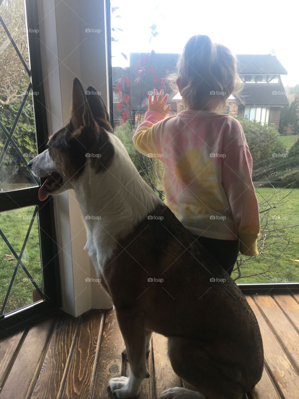 Looking out the window