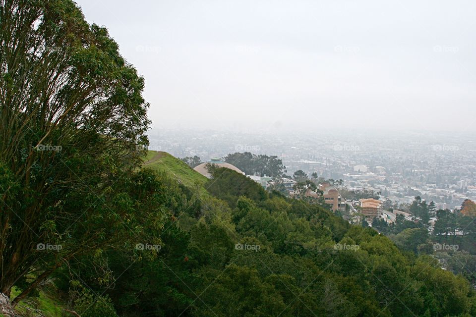 Foggy landscape 