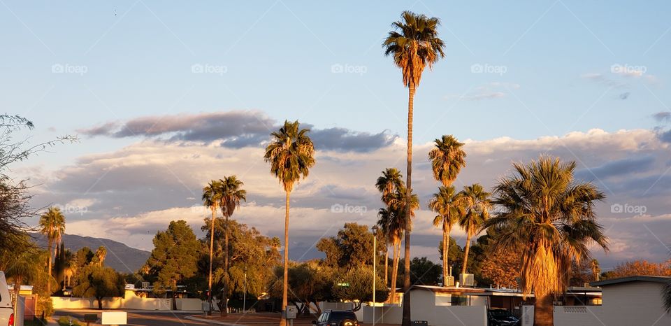 spring is in the air