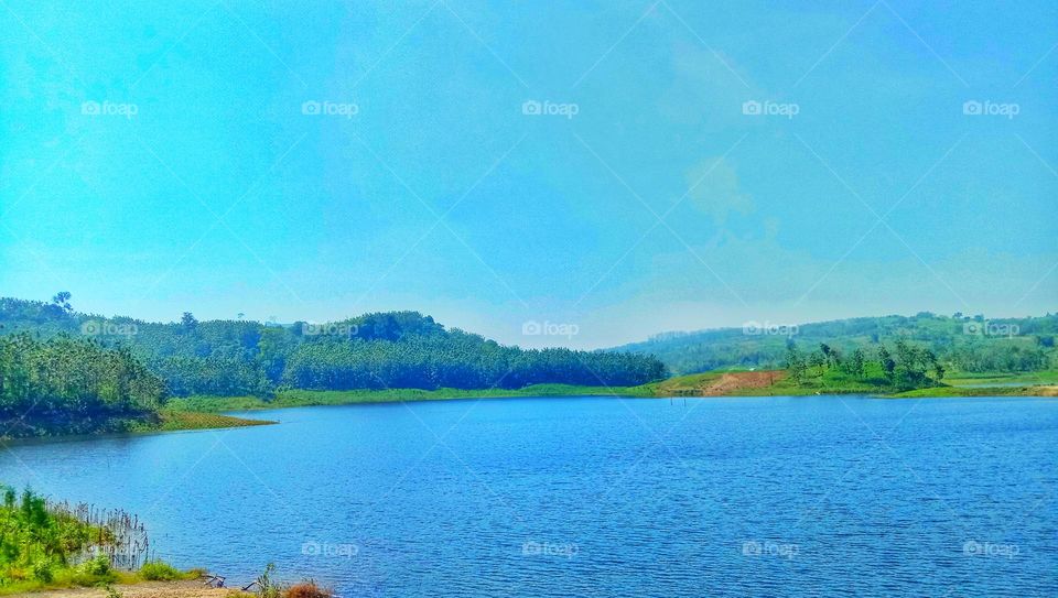 View of the dam in the background of the teak tree forest
