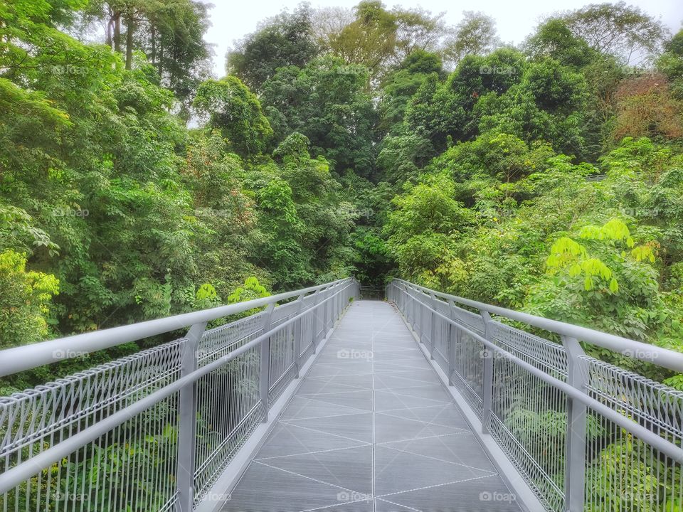 🤩 Telok Blangah Park Singapore 💕