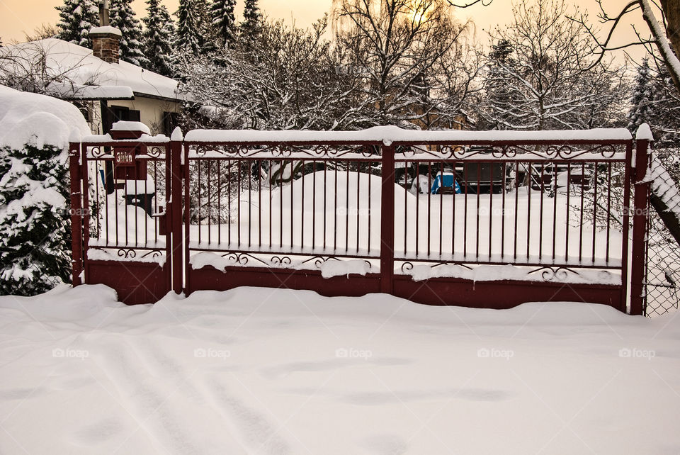 Fence under snow