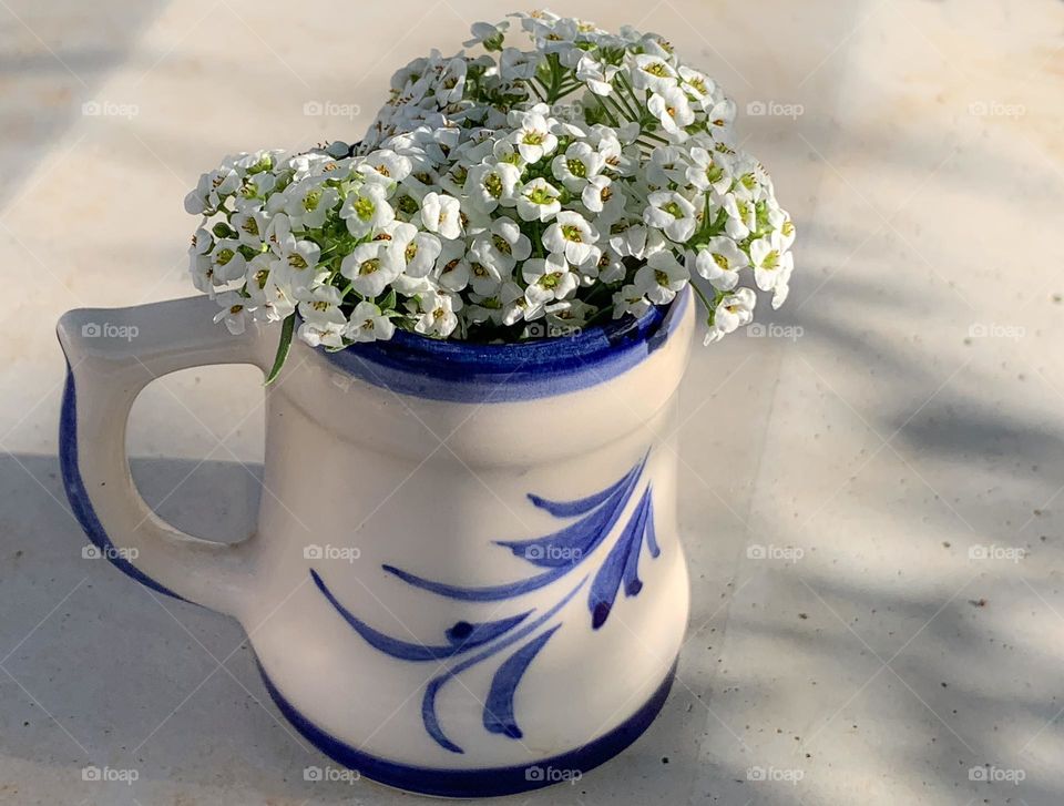 Tiny white alyssum flowers in a small blue & white jug on a shadowy concrete shelf