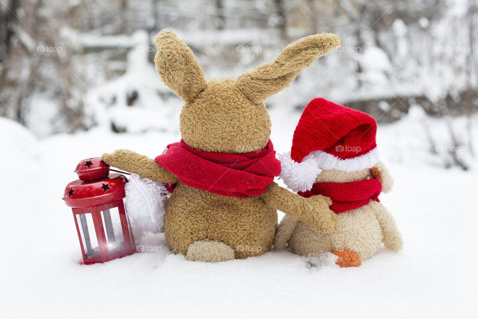 Teddy bear on snow with lantern