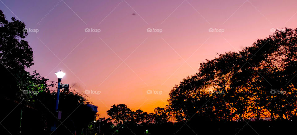 sneh botanical garden, surat