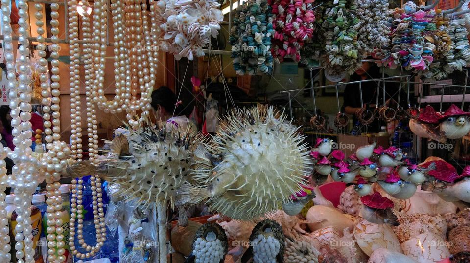 souvenir from the sea.