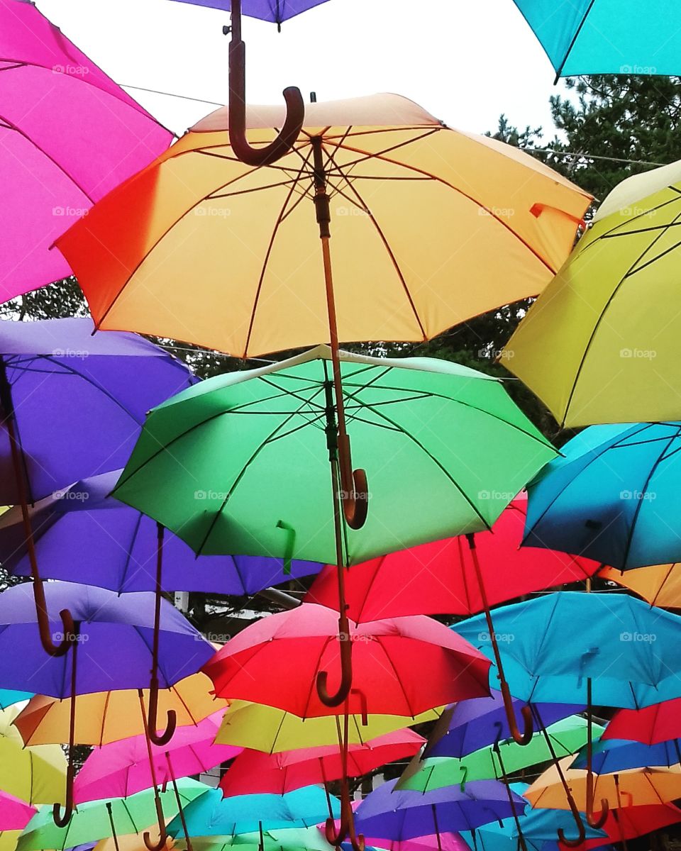 Colored umbrellas decoration