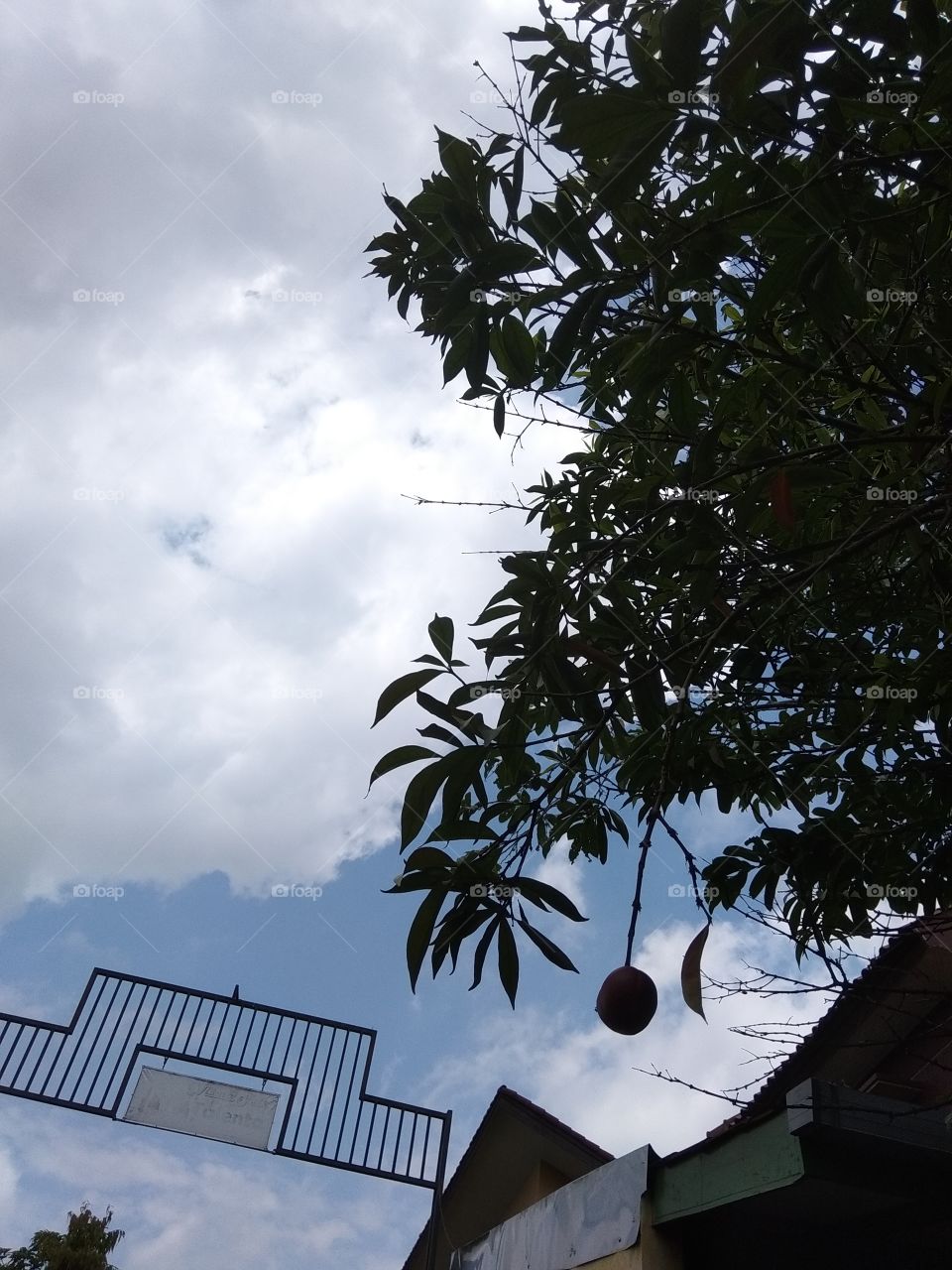 langit