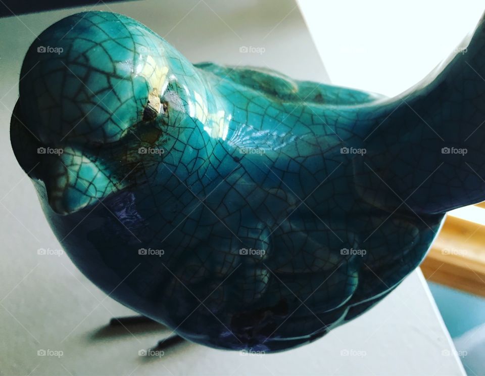 Turquoise birdie 