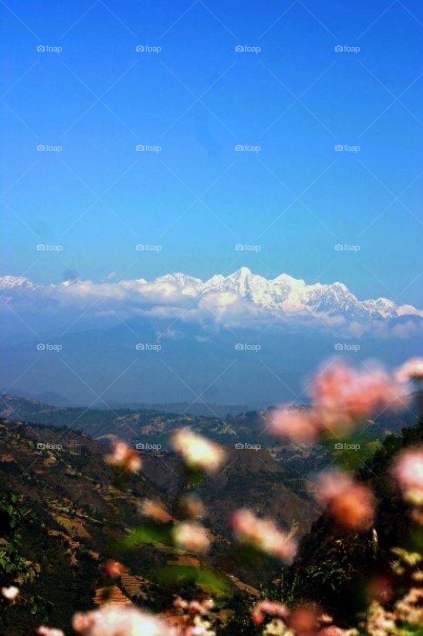 The life and Times of Nepal Mountains