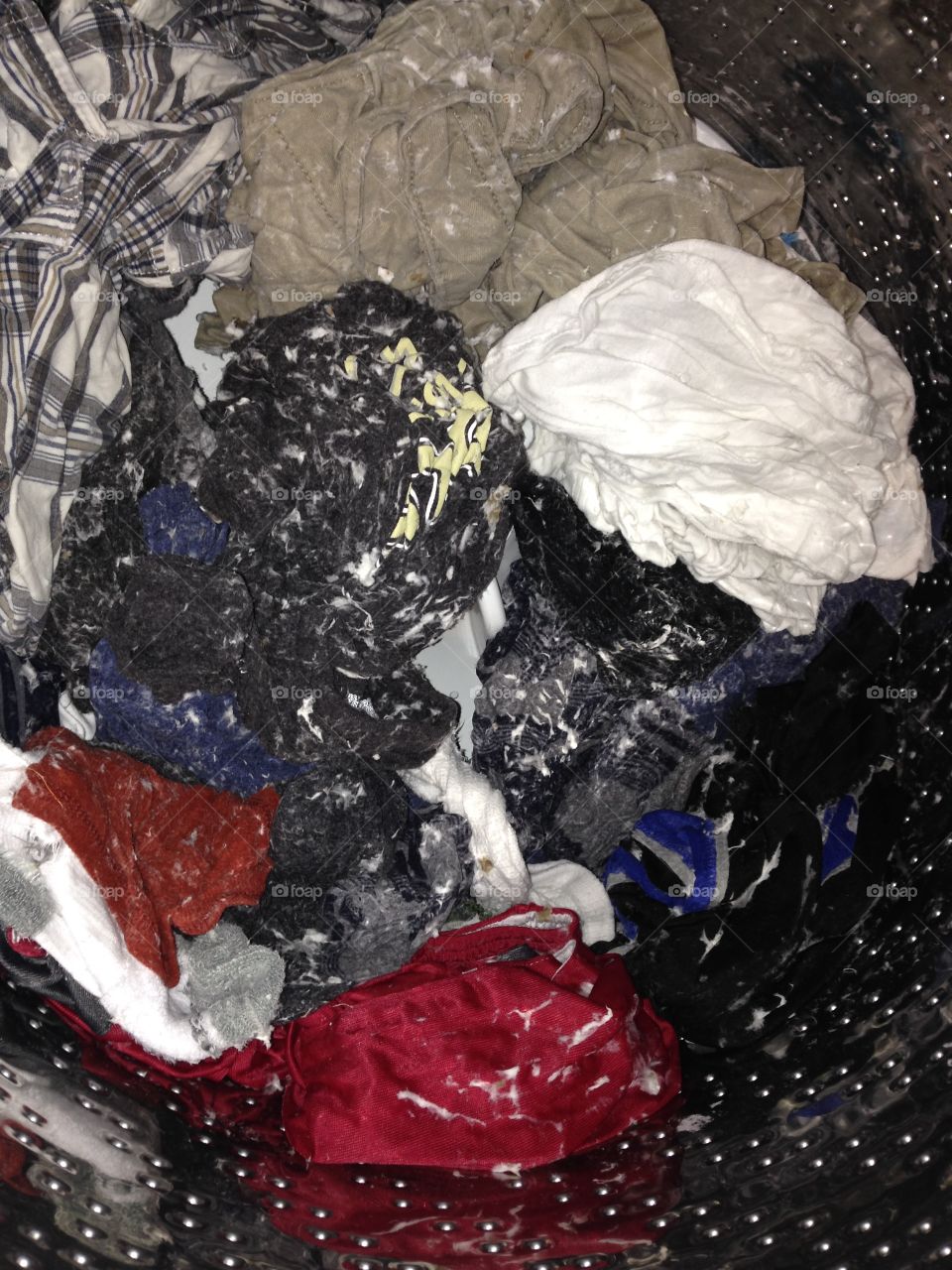 WARNING:  Don't try this at home! This is the aftermath of a roll of toilet paper getting tossed in with a load of laundry.