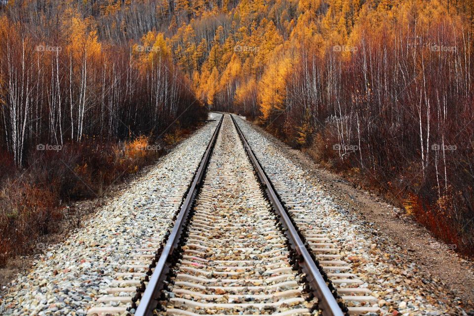 Autumn colors, train road 