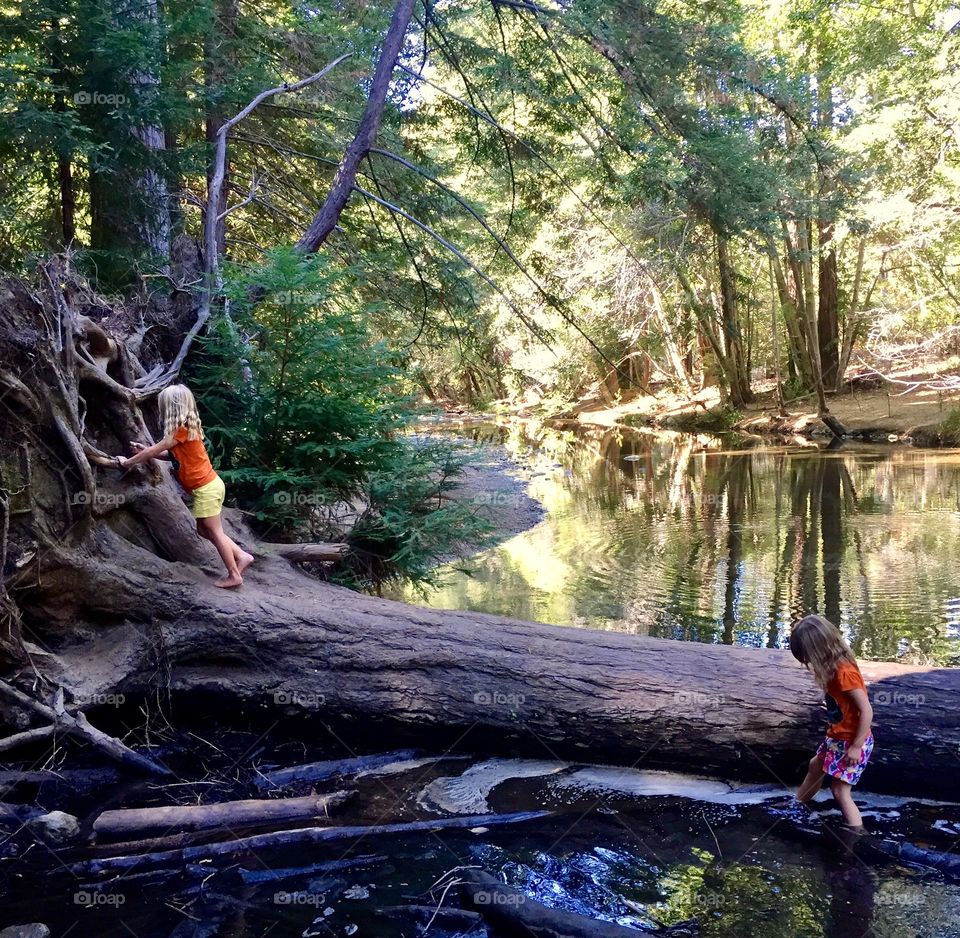 Little girls exploring the forest and river. 