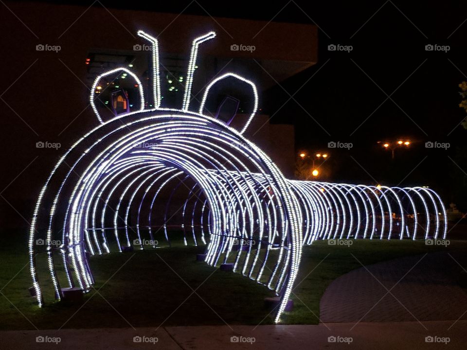 caterpillar in lights