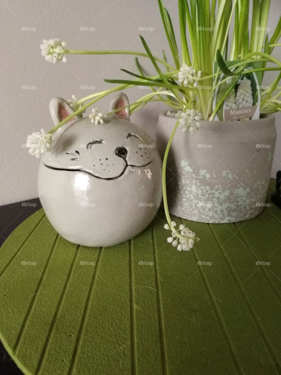 Homemade pottery and spring plant