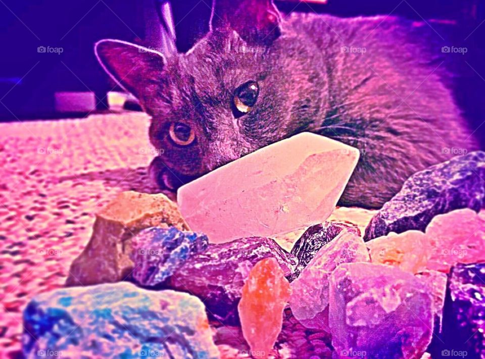 Positive energy cat with her crystal horde.