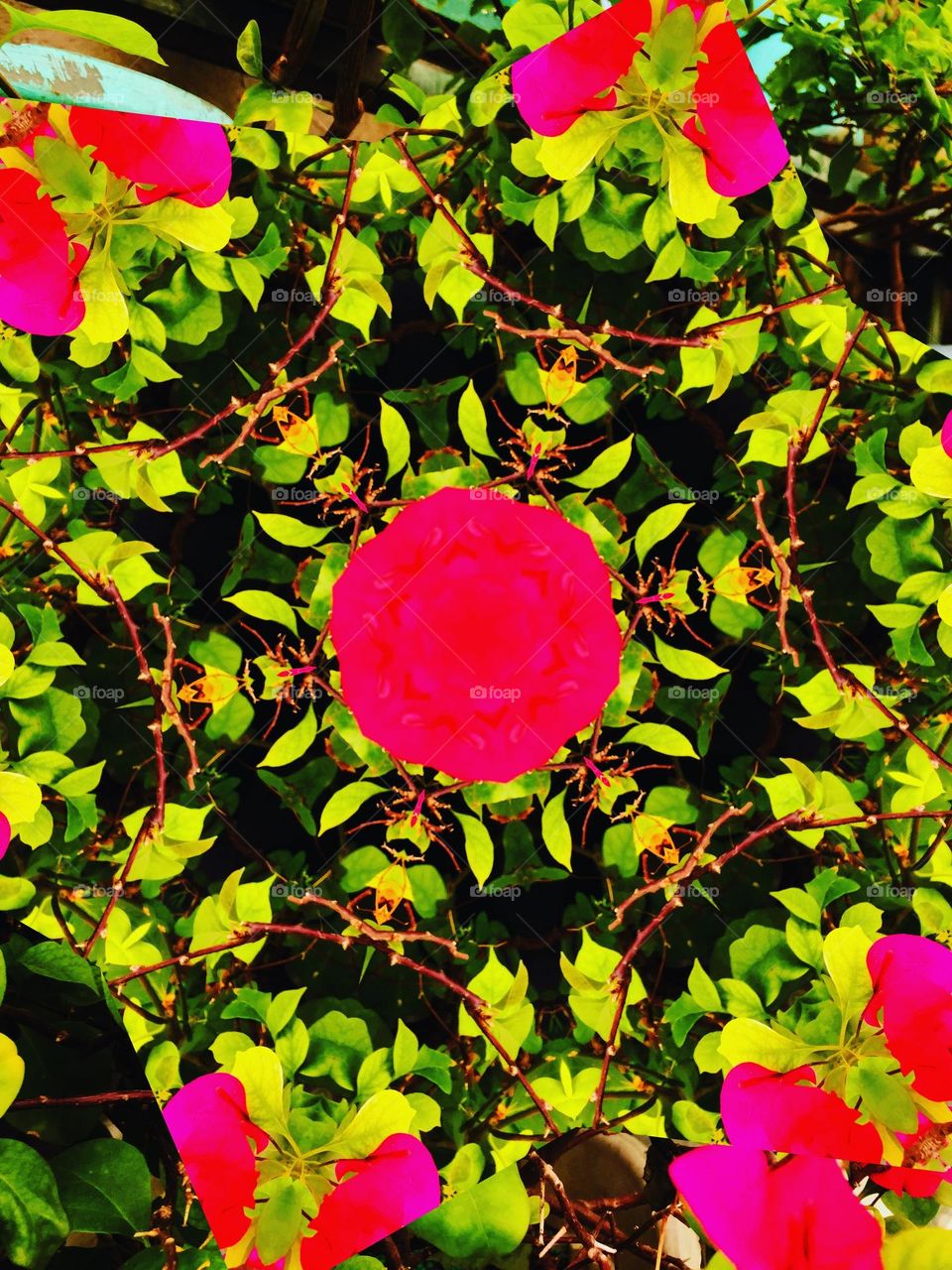 I’m so amazed how a simple photo transformed into this design, so I enjoyed doing this