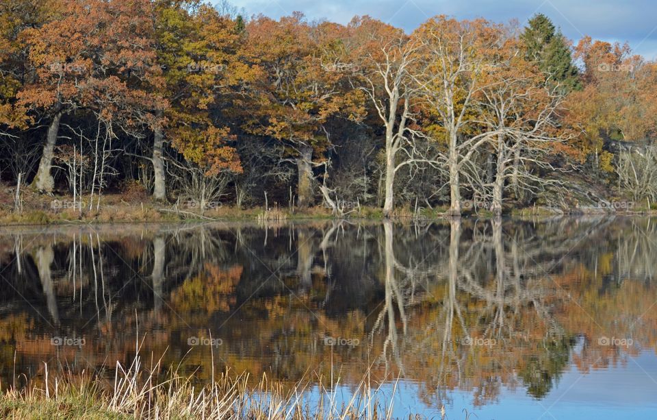 Kvalmsö Vambåsa naturreservat Ronneby sweden