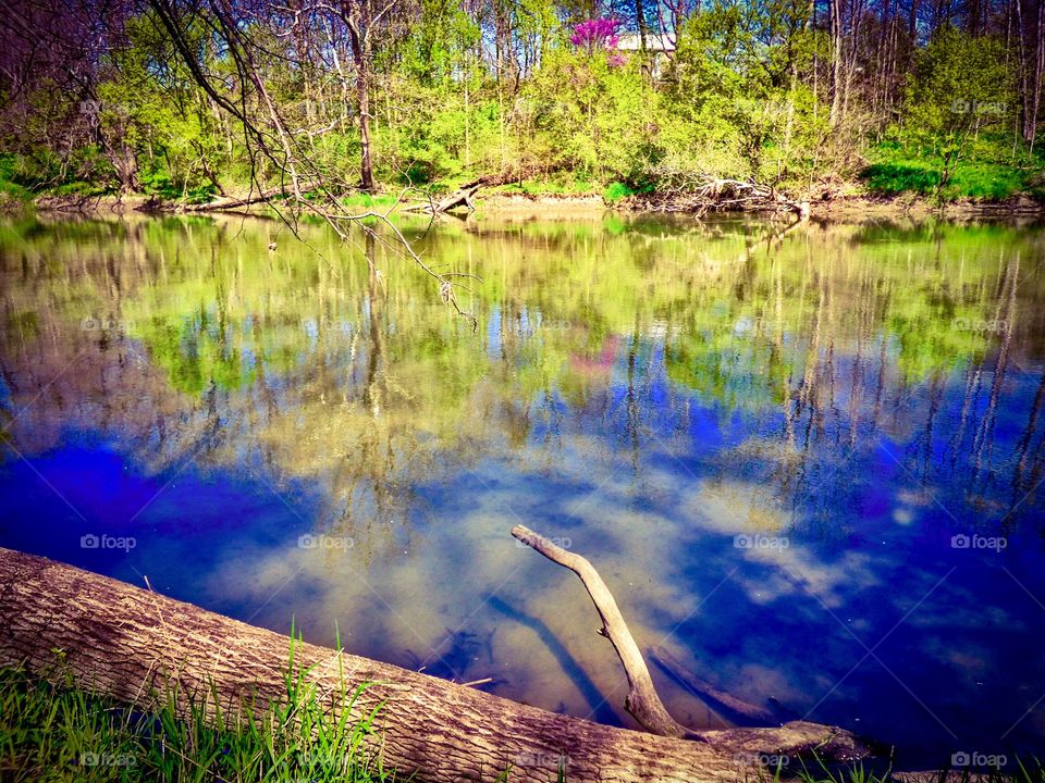 Spring reflection 