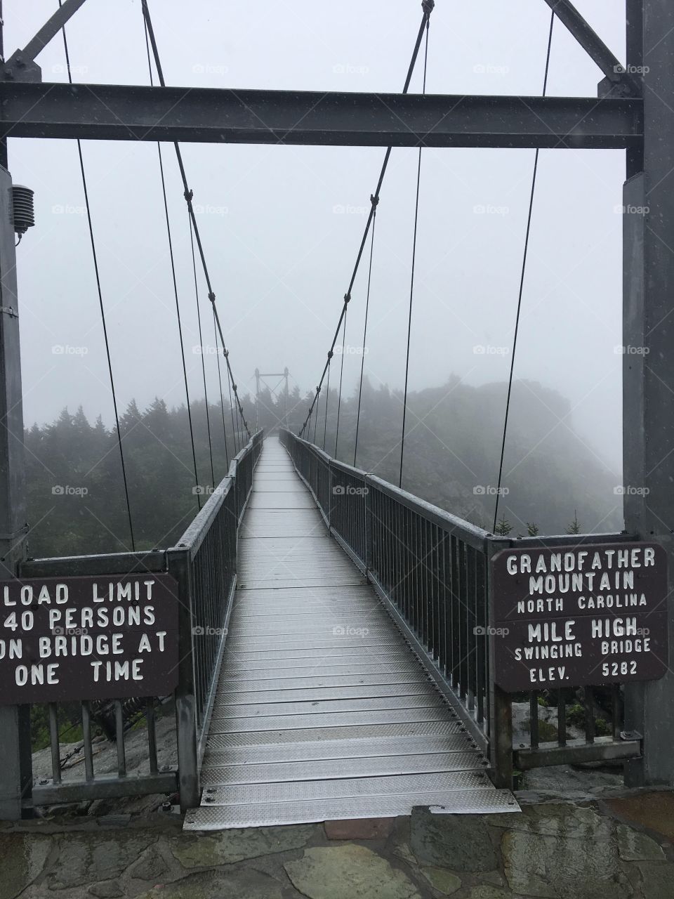 The Bridge in the rain