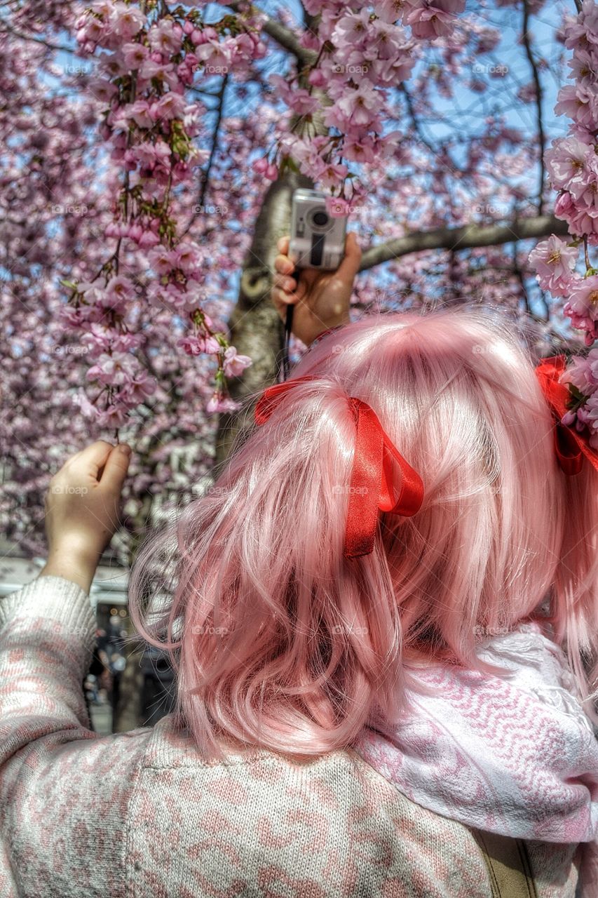 Girl enjoying cherry blossom. Girl enjoying cherry blossom