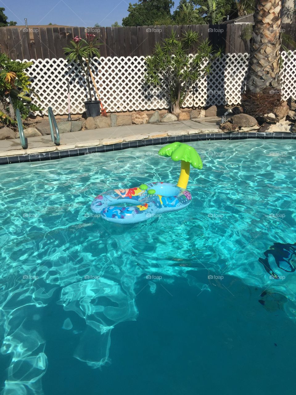 Kinds Floating Palm Tree Toy in Pool