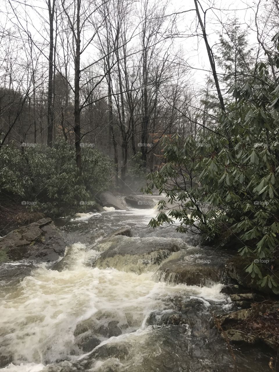 Swollen river in Benezette, PA