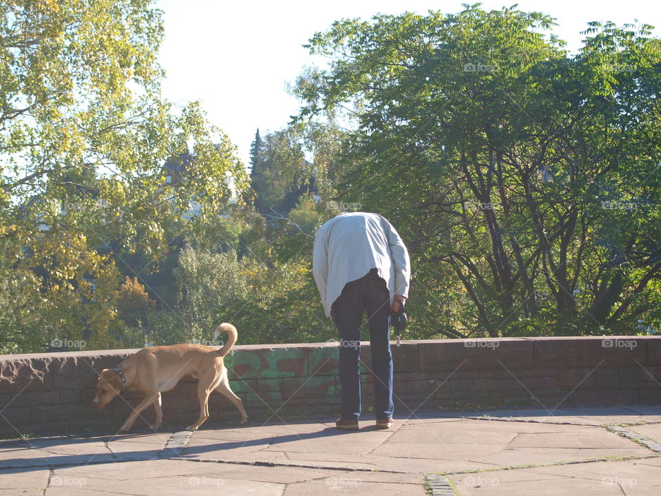 dog owner walking the dog